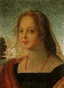 Rosso Fiorentino Portrait of a Young Woman oil painting